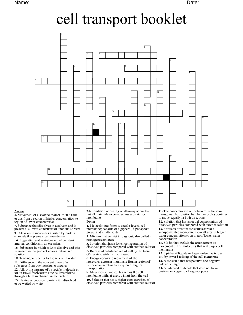 cell transport booklet  Crossword