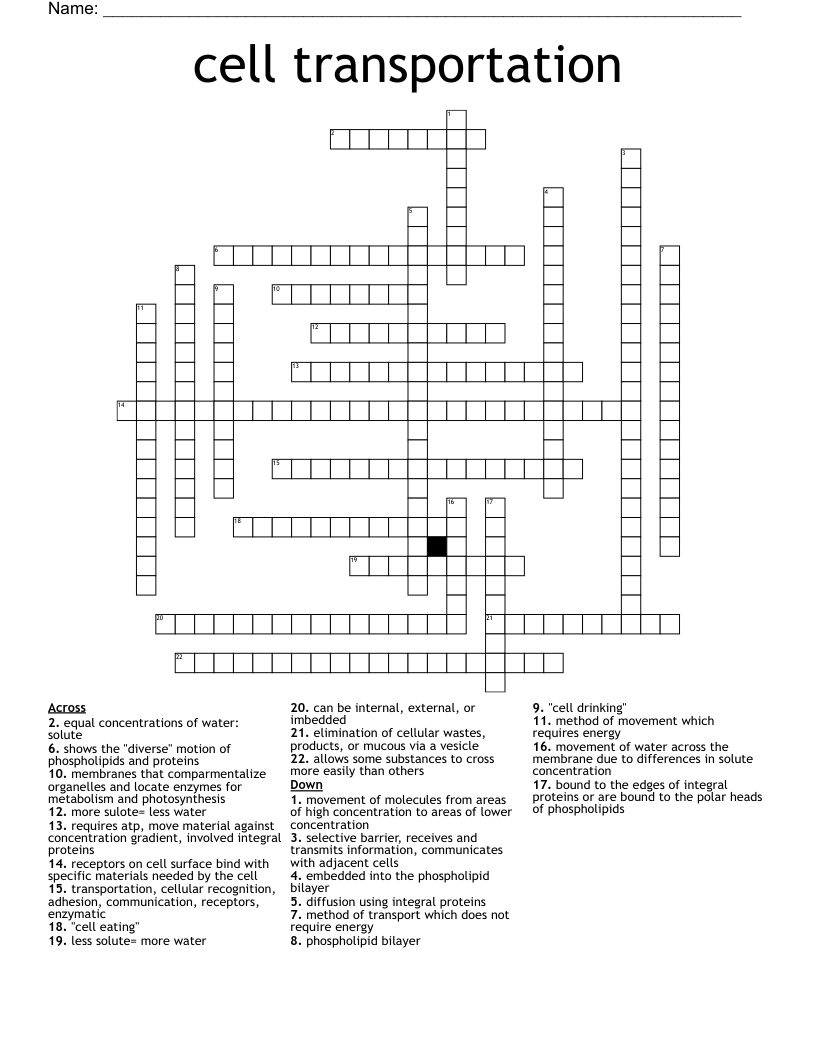 cell transportation Crossword