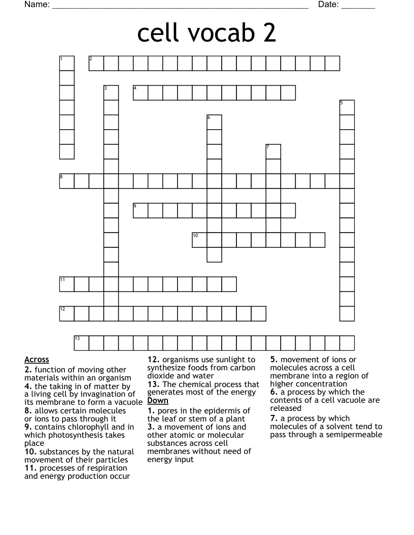cell vocab 2 Crossword