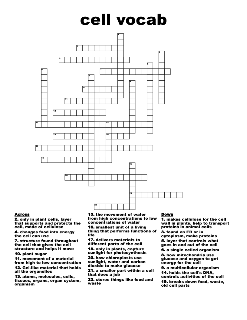 cell vocab Crossword