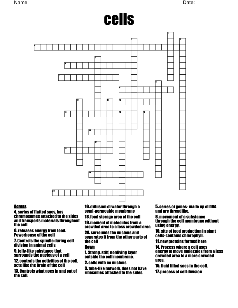 cells Crossword