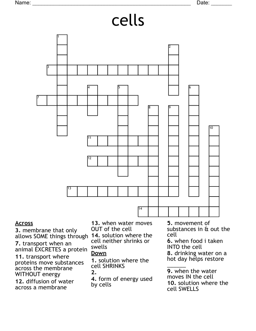 cells Crossword