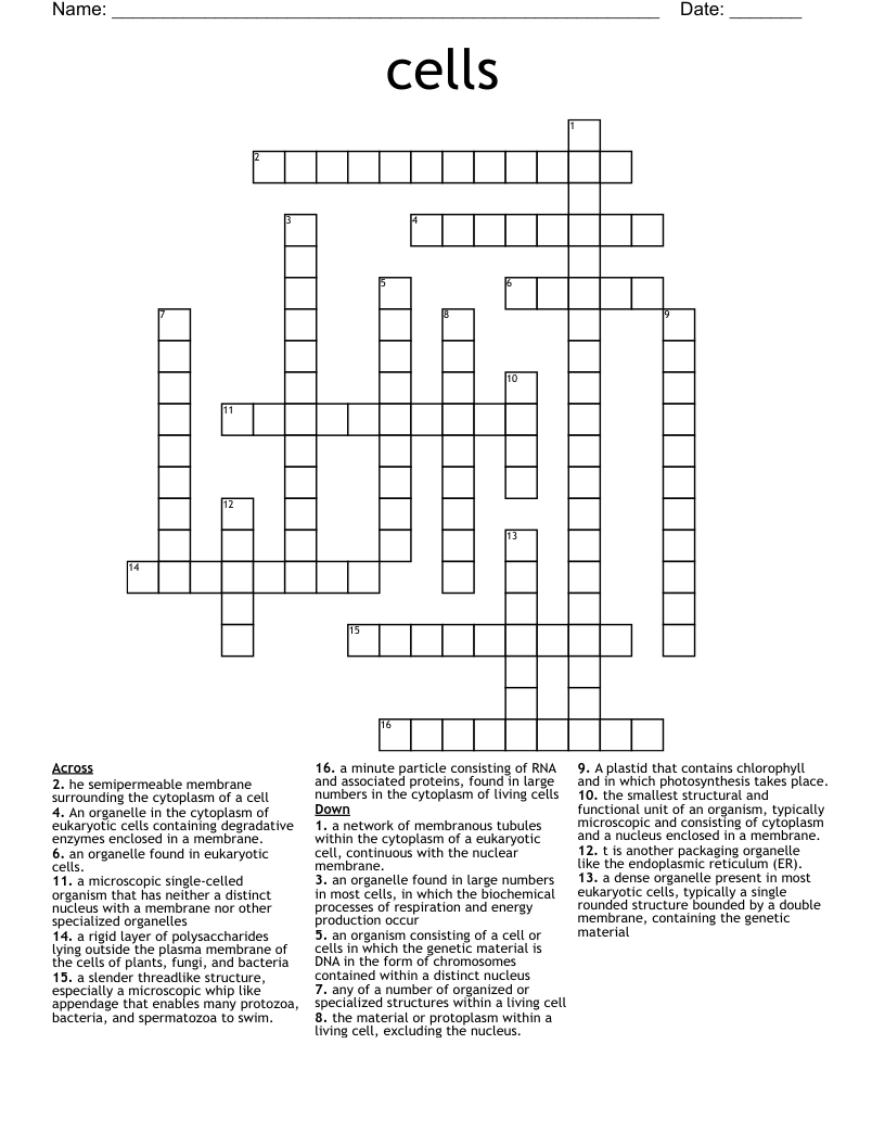 cells Crossword