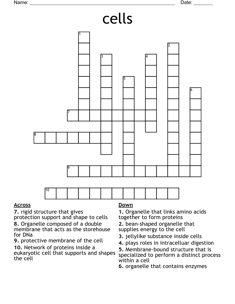 cells Crossword