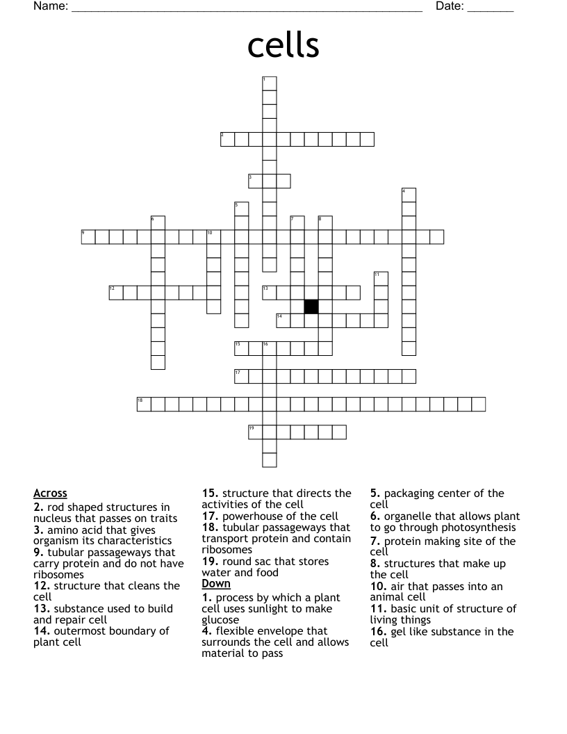 cells Crossword