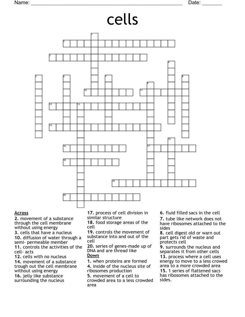 cells  Crossword