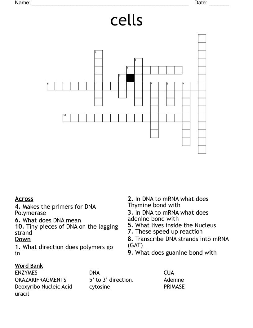 cells  Crossword