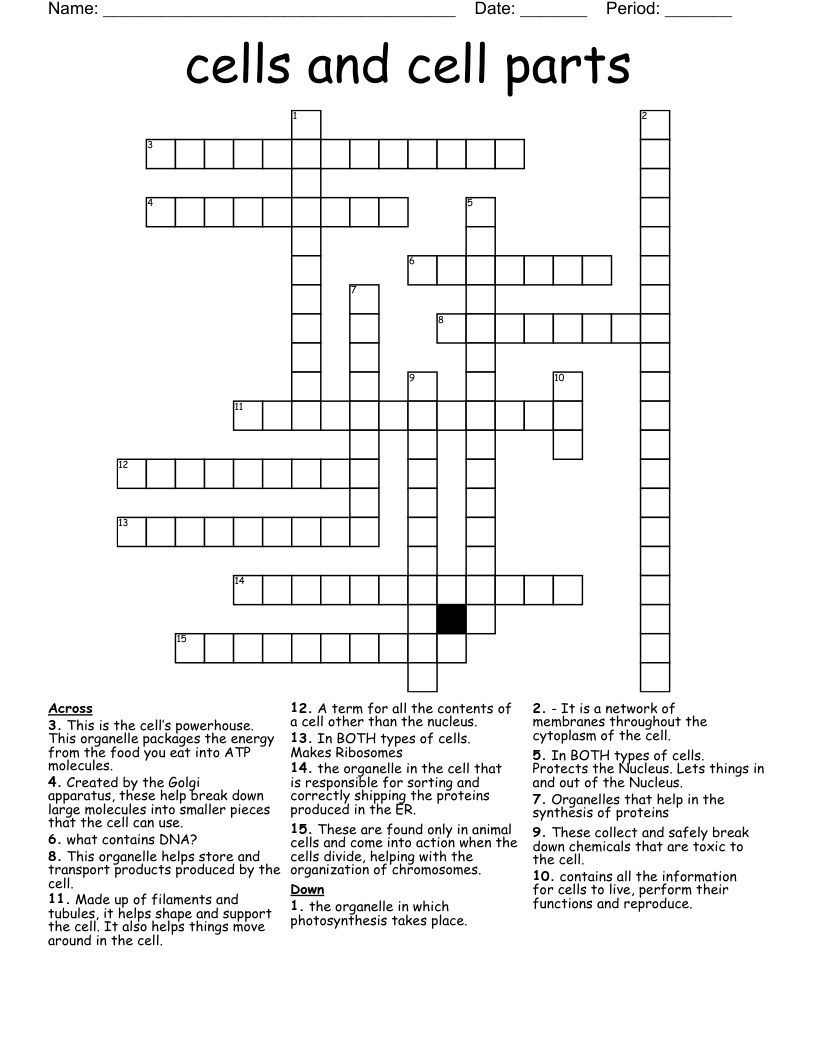 cells and cell parts Crossword