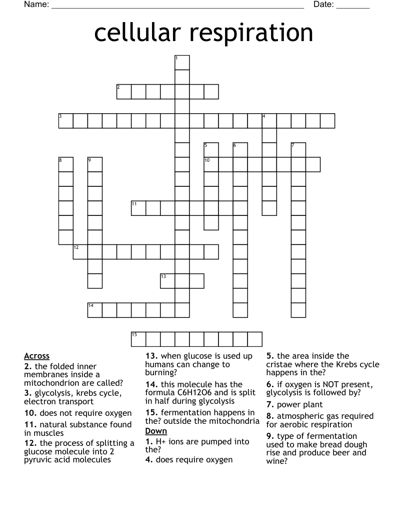 cellular respiration Crossword