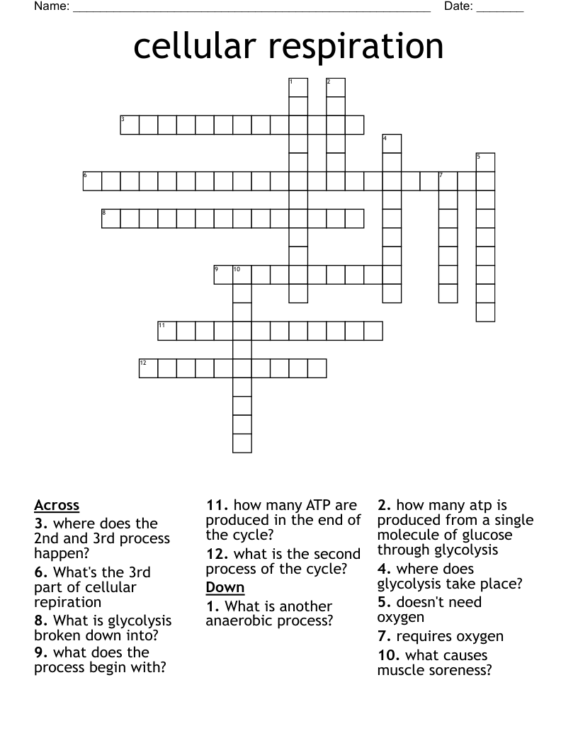 cellular respiration Crossword