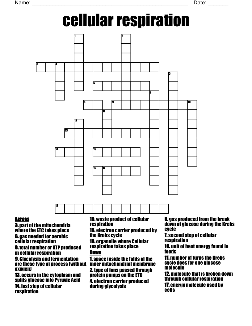 cellular respiration  Crossword
