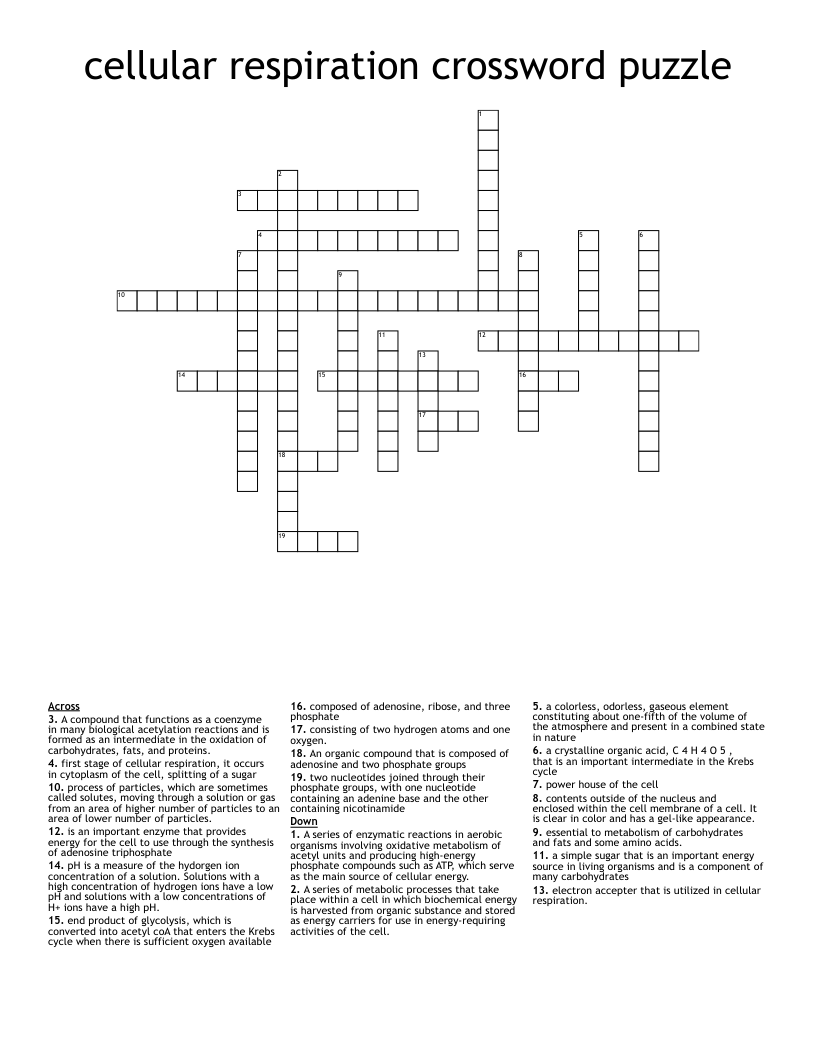 cellular respiration crossword puzzle