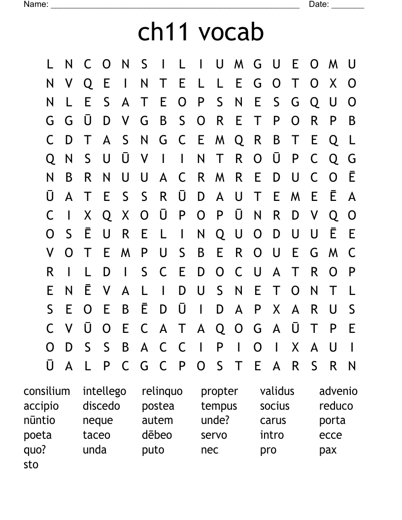 ch11 vocab Word Search