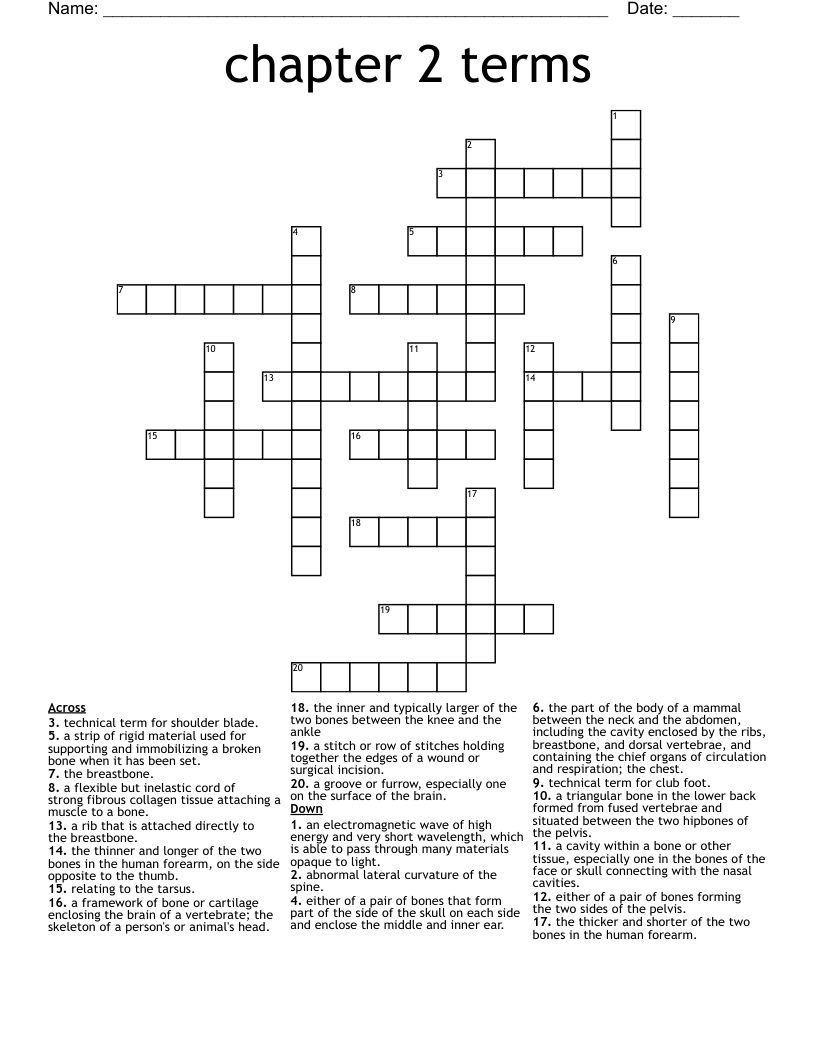 chapter 2 terms Crossword