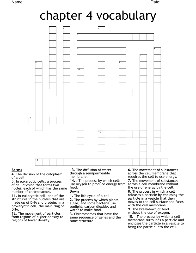 chapter 4 vocabulary Crossword