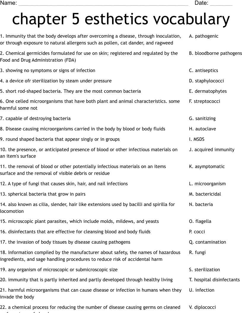 chapter 5 esthetics vocabulary Worksheet