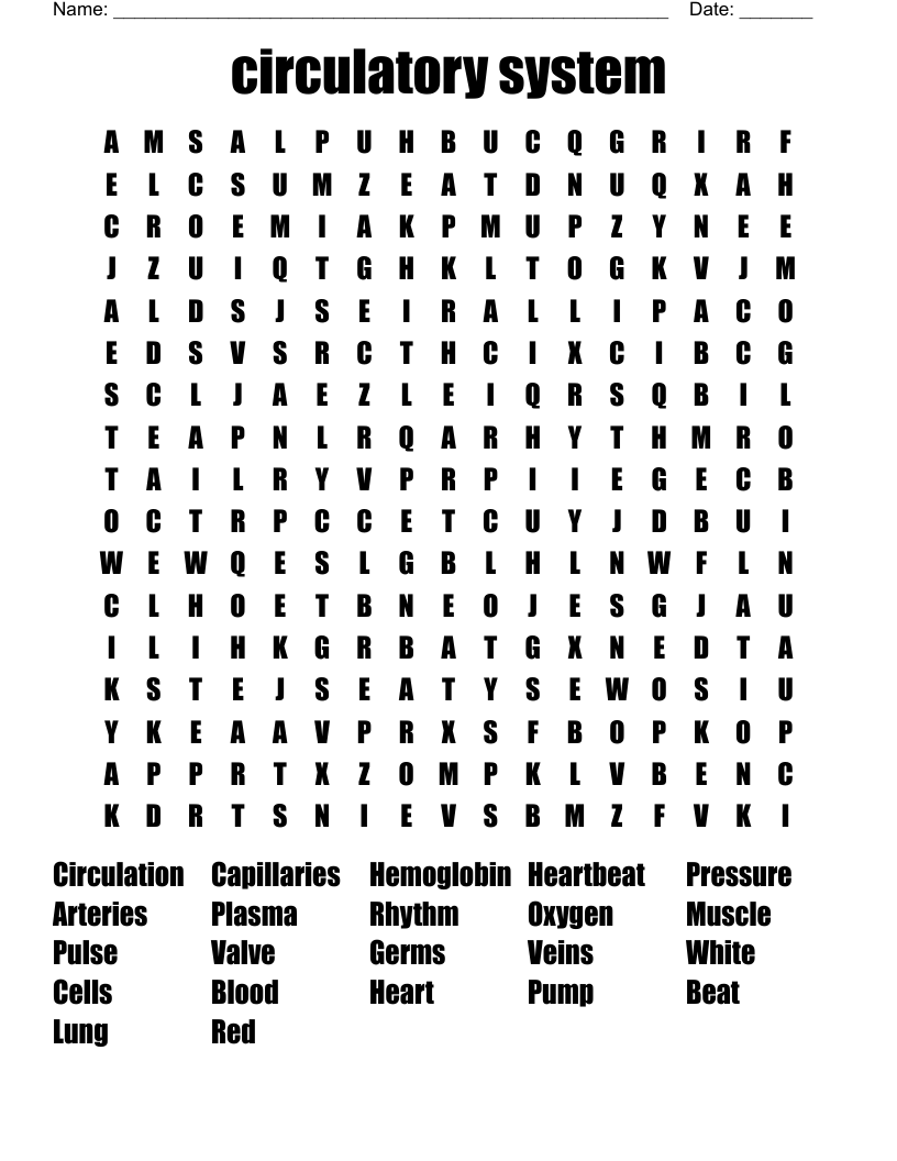 circulatory system Word Search