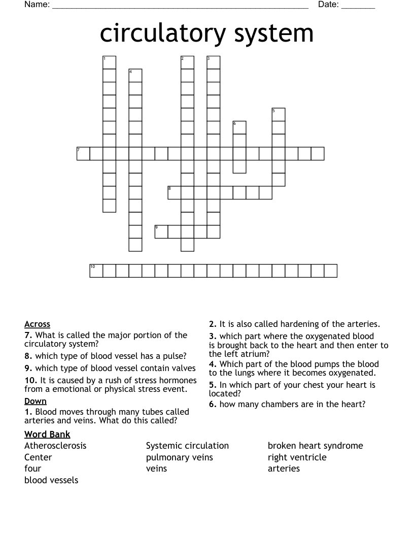 circulatory system Crossword