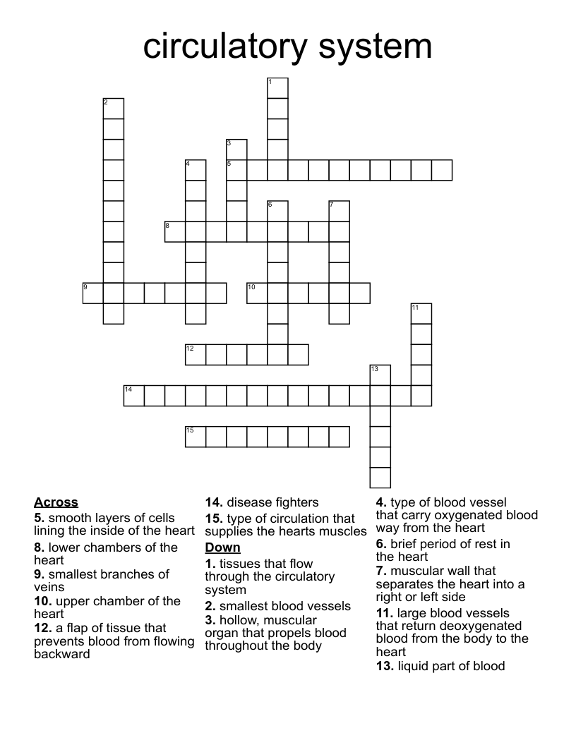 circulatory system  Crossword