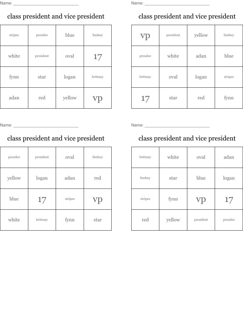 class president and vice president  Bingo Cards