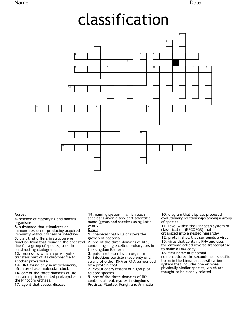 classification Crossword