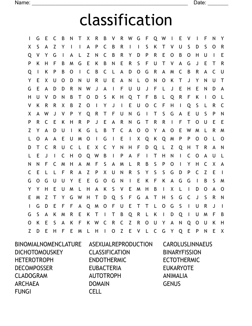 classification Word Search