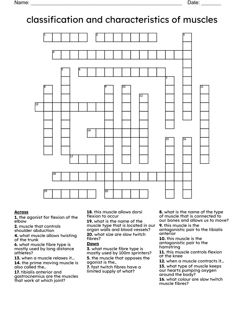 classification and characteristics of muscles  Crossword