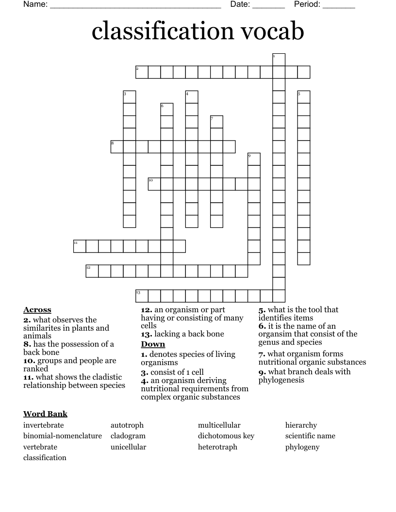 classification vocab Crossword