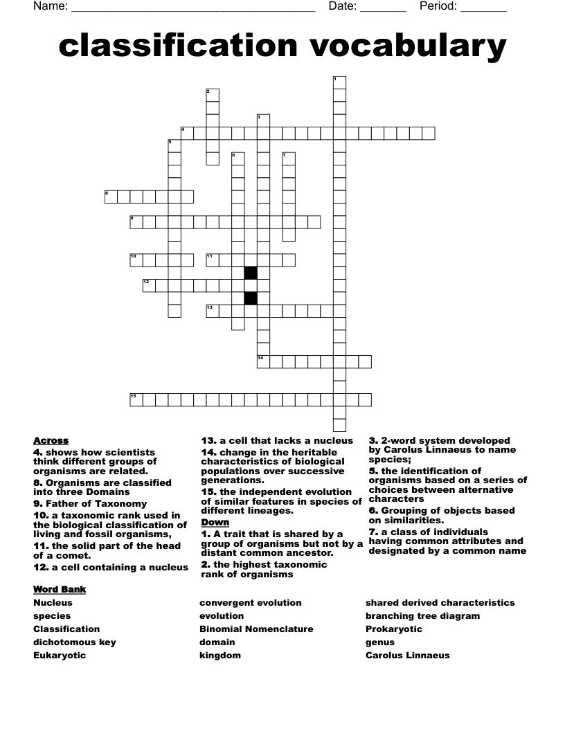 classification vocabulary Crossword