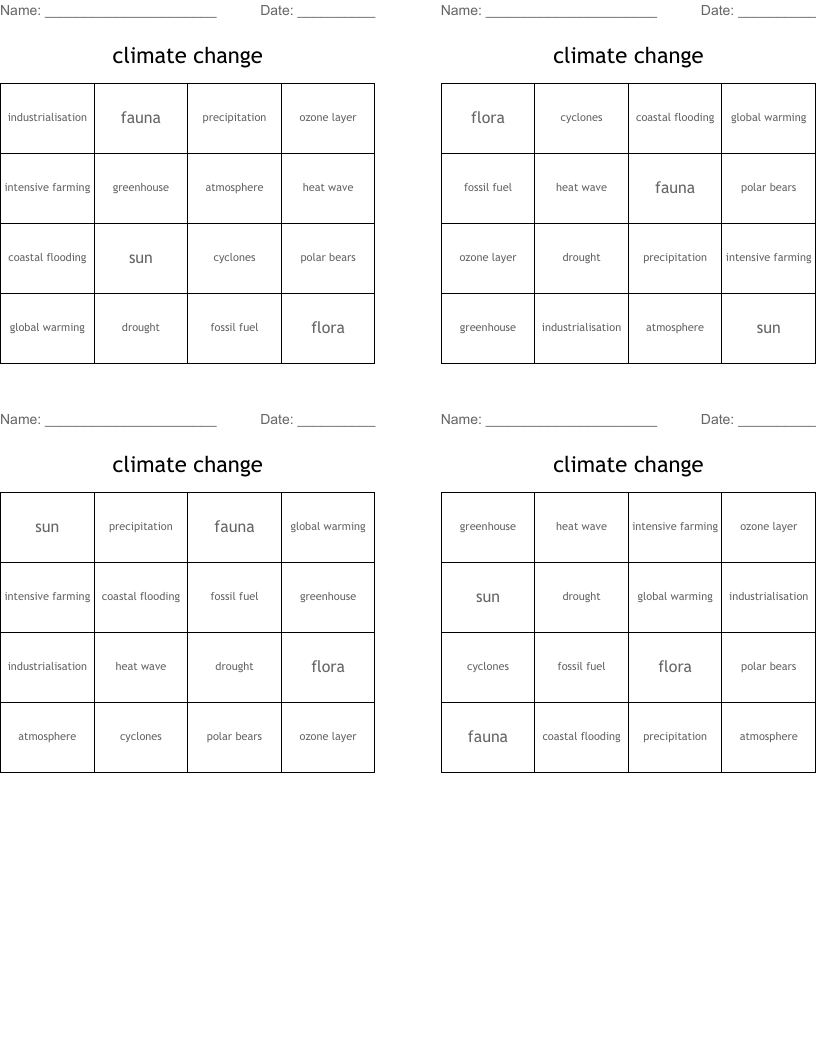 climate change  Bingo Cards