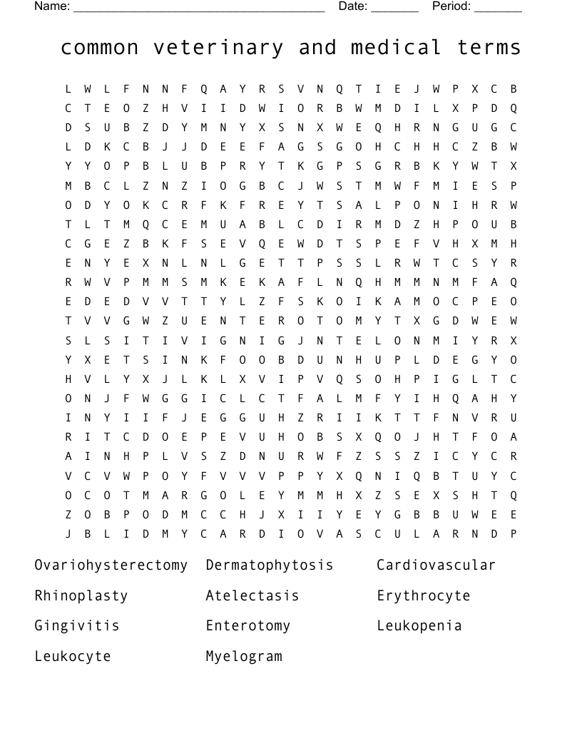 common veterinary and medical terms Word Search