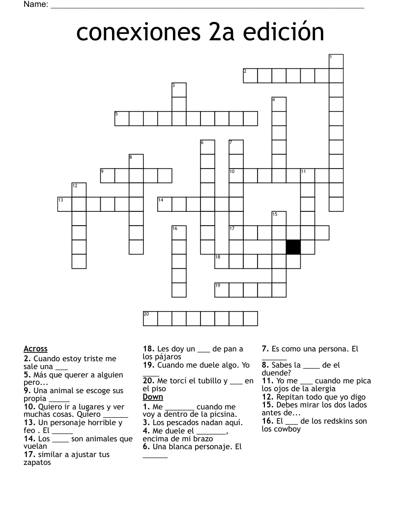 conexiones 2a edición Crossword