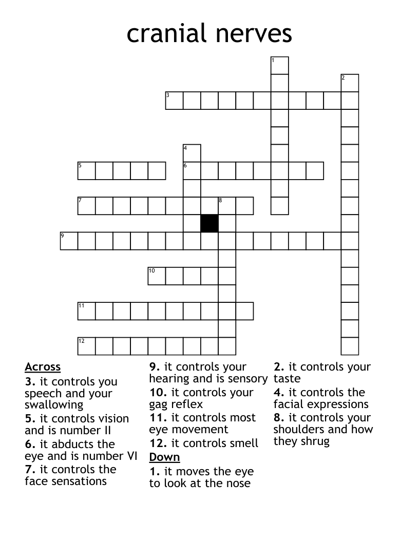 cranial nerves  Crossword