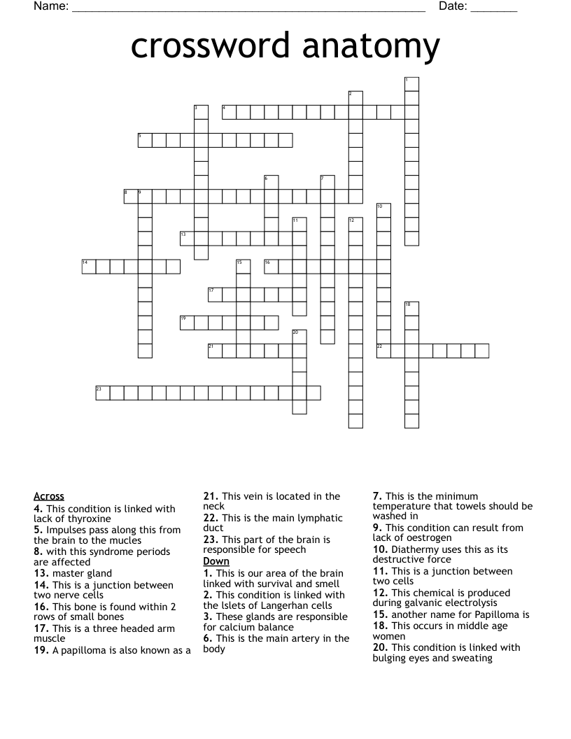 crossword anatomy 