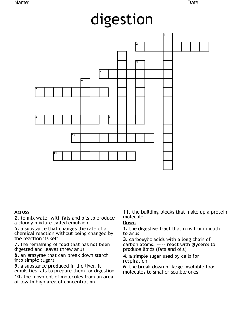 digestion Crossword
