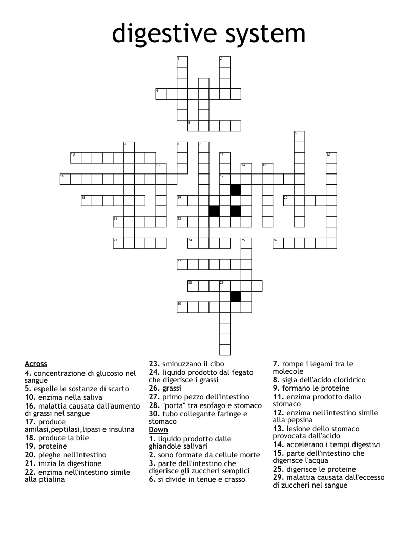 digestive system Crossword