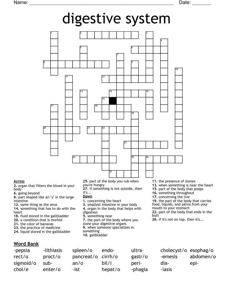 digestive system Crossword