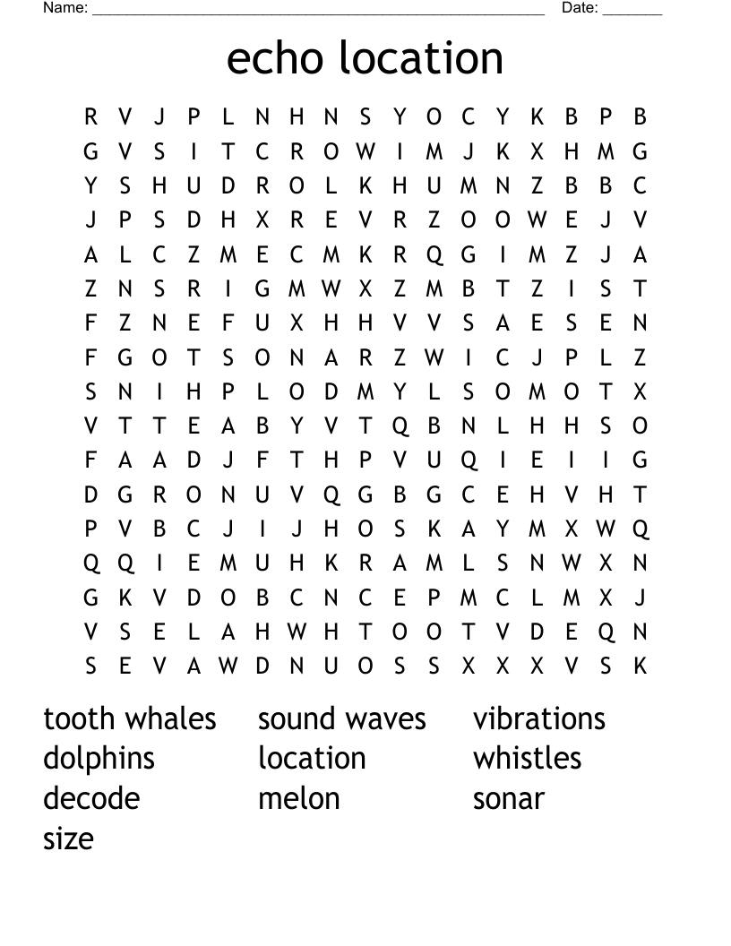 echo location Word Search
