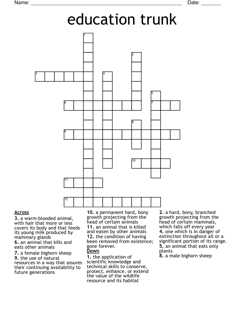 education trunk Crossword