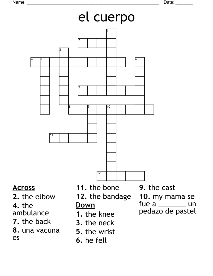el cuerpo Crossword