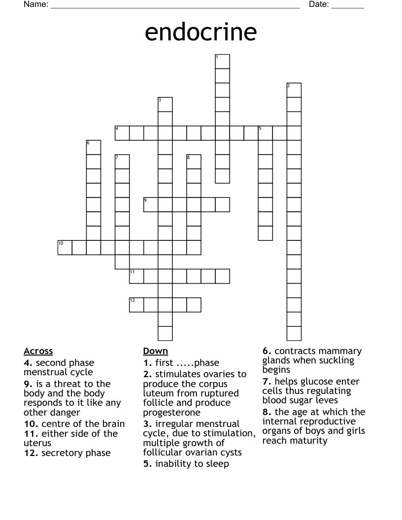 endocrine Crossword