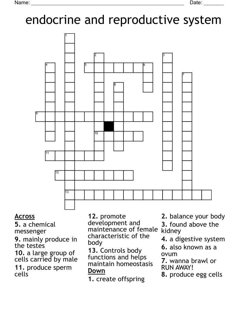 endocrine and reproductive system Crossword