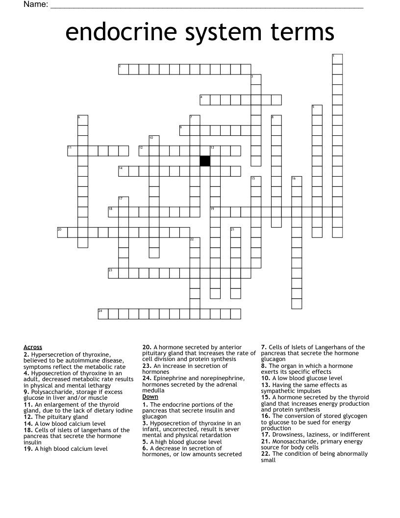 endocrine system terms Crossword