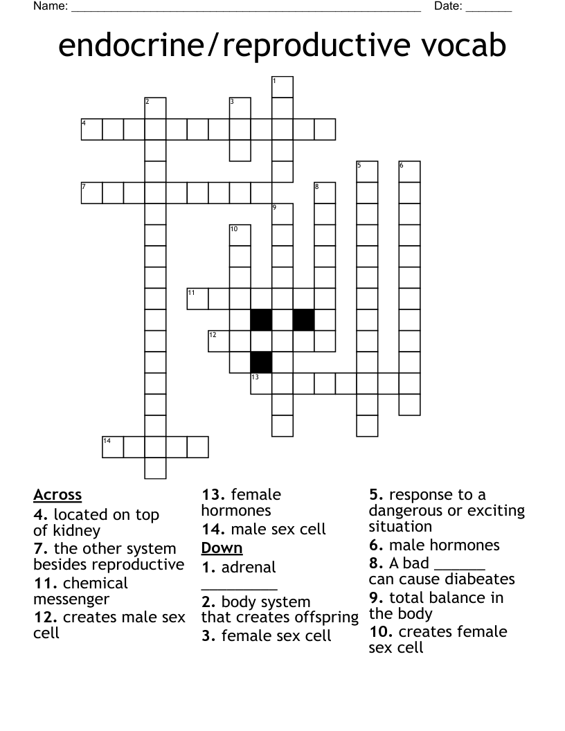 endocrine/reproductive vocab Crossword