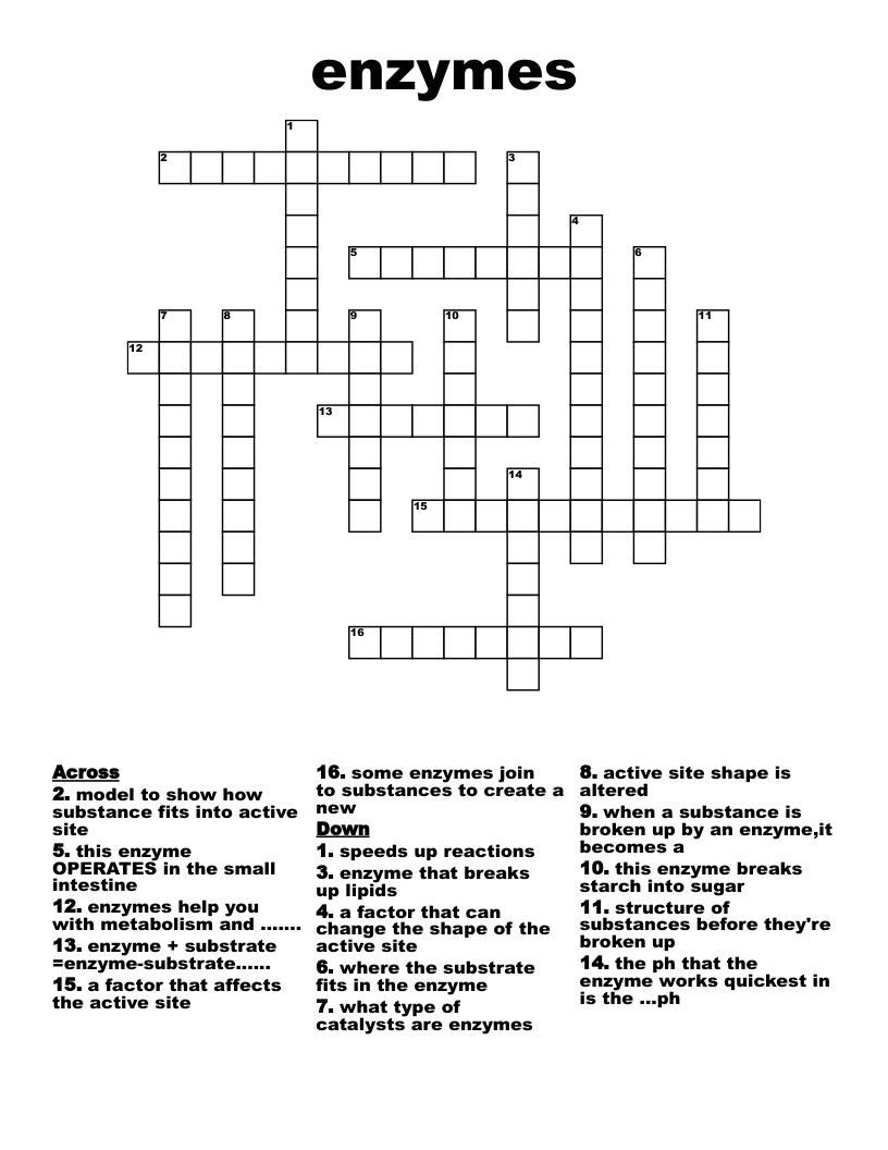 enzymes Crossword