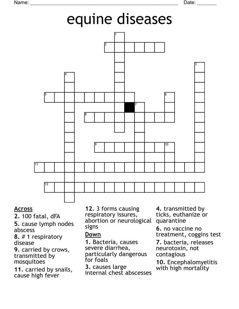 equine diseases Crossword