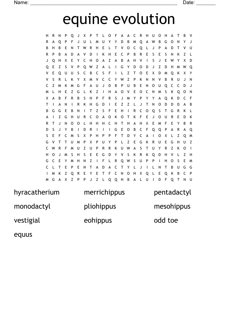 equine evolution Word Search