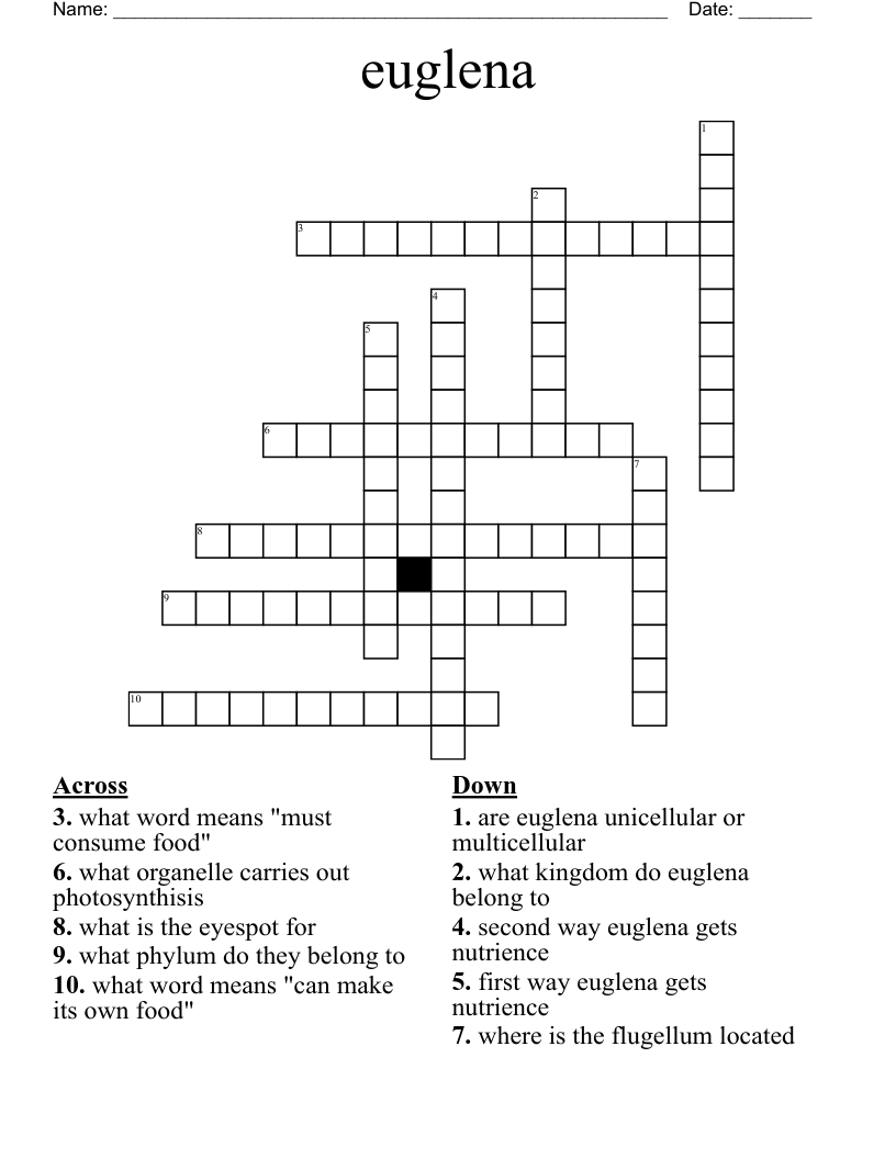 euglena Crossword