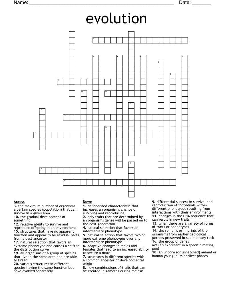 evolution Crossword