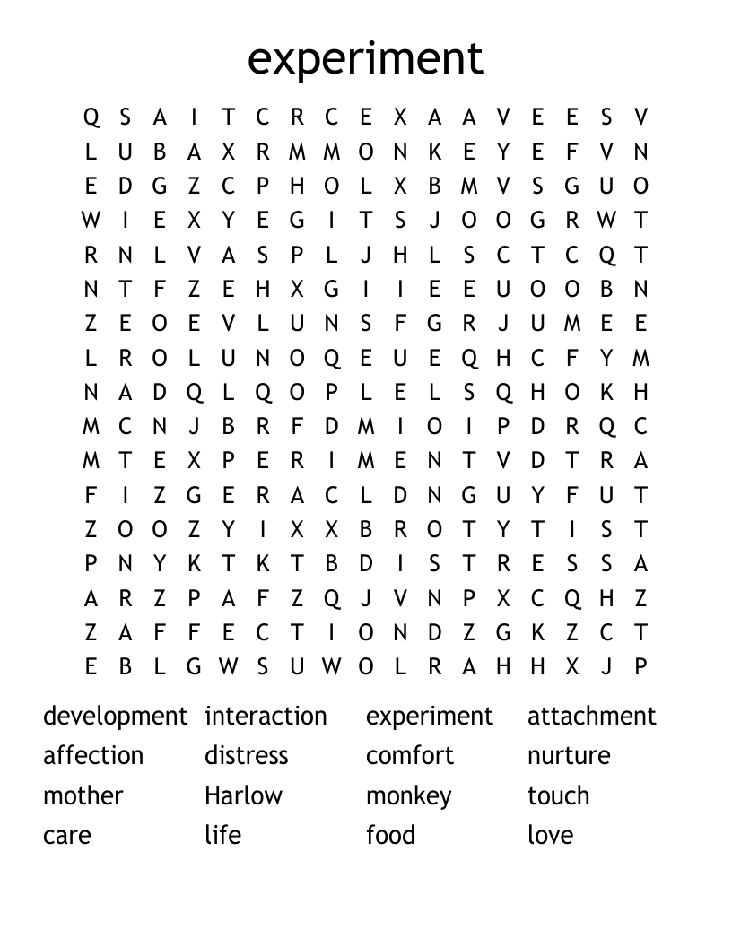 experiment  Word Search